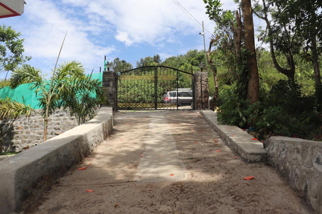 Pine Garden Homestay *